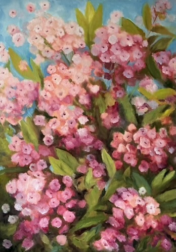 Флокси